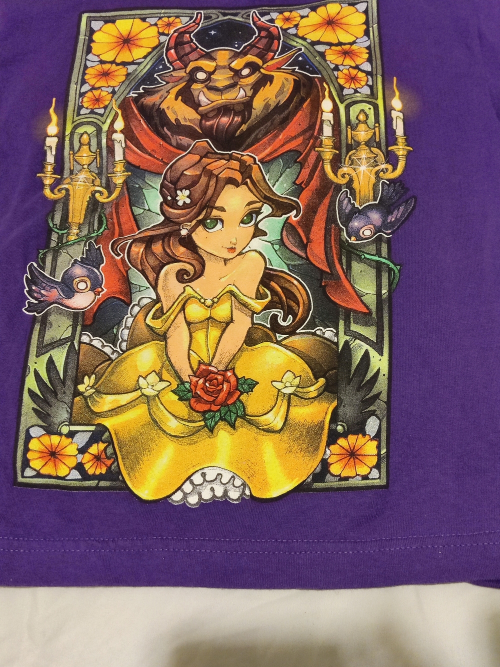 Beauty & The Beast Tee Fury Collection Shirt Youth Size M See Measurements